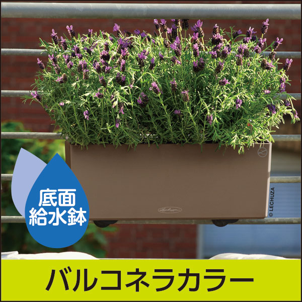 底面給水機能付きプランター【レチューザエコノミー】バルコネラカラー50・LECHUZA・プラスチック製