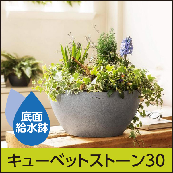 ★当店限定★底面給水機能付きプランター【レチューザエコノミー】キューベットストーン30・LECHUZA・プラスチック製