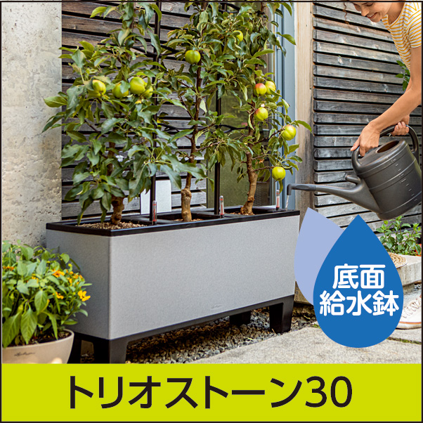 ☆送料無料☆底面給水機能付きプランター【レチューザエコノミー】トリオストーン30・LECHUZA・プラスチック製