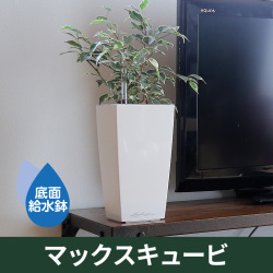 ドイツ生まれの機能美プランター『レチューザ』クラシコ・ジョーカー