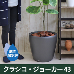 ドイツ生まれの底面灌水鉢・機能美プランター『レチューザ』クラシコ