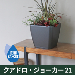 ドイツ生まれの底面灌水鉢・機能美プランター『レチューザ』クラシコ