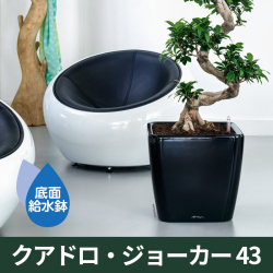 ドイツ生まれの機能美プランター『レチューザ・LECHUZA』クラシコ