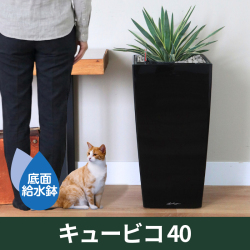 ドイツ製プランター『LECHUZAレチューザ』キュービコ30｜底面給水鉢