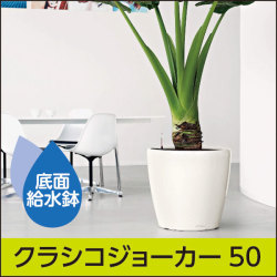 LECHUZAレチューザ』キュービコアルト｜底面給水鉢