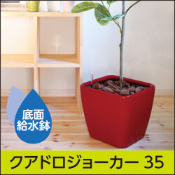 ドイツ製プランター『LECHUZAレチューザ』キュービコ30｜底面給水鉢