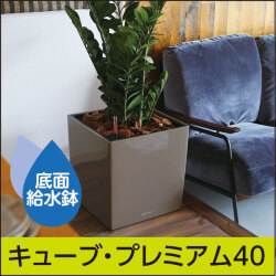 エバーフレッシュ♪ 水切れ安心•底面給水型プランター プランター リッチェル 水ラク菜園上手 85型 グリーン 底面給水