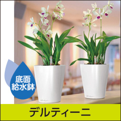 底面灌水（かんすい）・給水システムドイツ製プランター鉢【LECHUZA