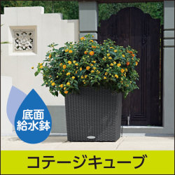 底面給水鉢 レチューザ・ラウンド35