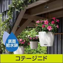 底面給水鉢 レチューザ・ラウンド35