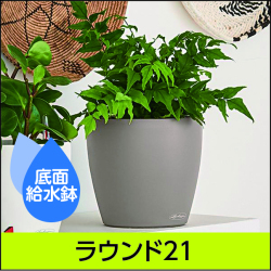 底面給水鉢 レチューザ・ラウンド35