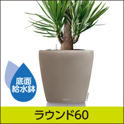 底面給水鉢 レチューザ・ラウンド43