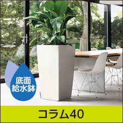 レチューザ Lechuzaコラム30 ホワイト 底面給水型プランター LECHUZAレチューザ』トレンドカバー32｜底面給水鉢