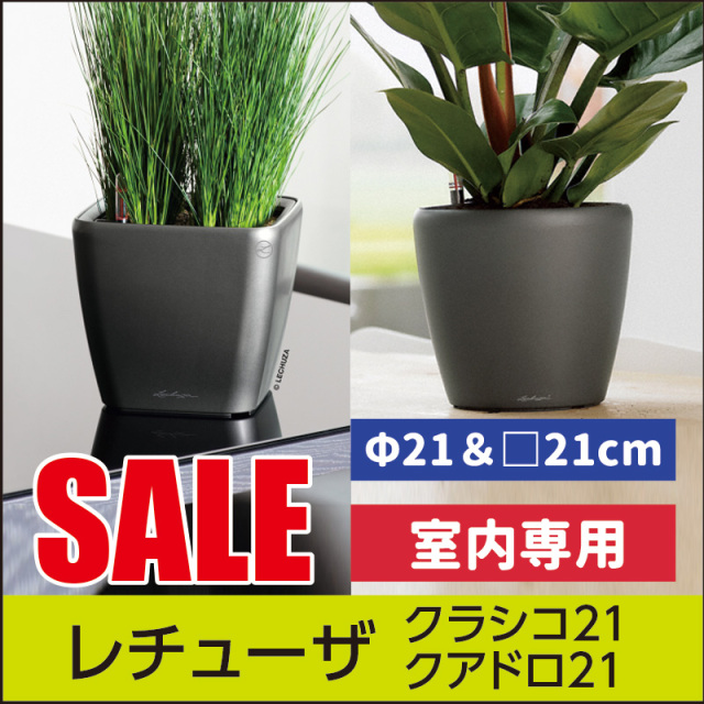 ★決算セール特別販売★【レチューザプレミアム】クラシコ21・クアドロ21・LECHUZA・プラスチック製