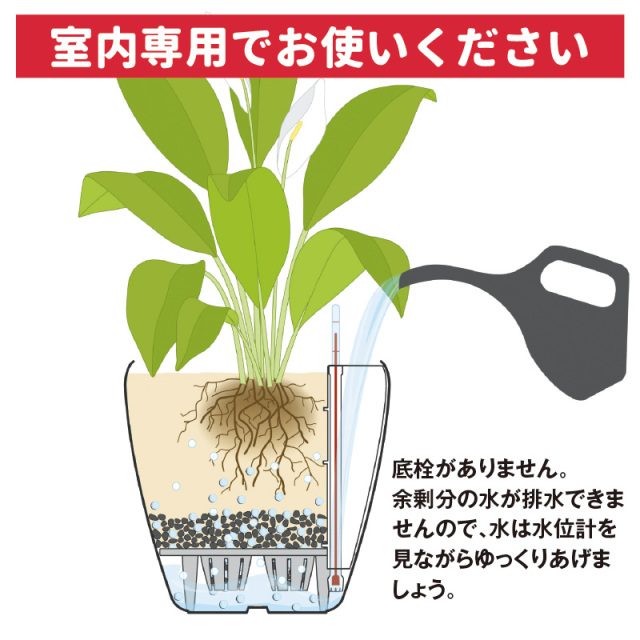 草冠 玉座 ×2 フワフワ翠冠玉 | 叢 – くさむら – Qusamura