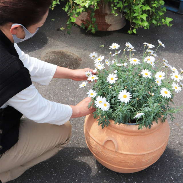伝統のハンドメイド・テラコッタ【アンベロス】｜ギリシャ・クレタ島