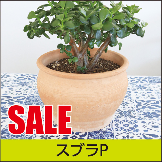 ☆9/30まで特価SALE☆【ギリシャ・クレタ島】スブラP／Φ30×H20／テラコッタ／素焼き鉢