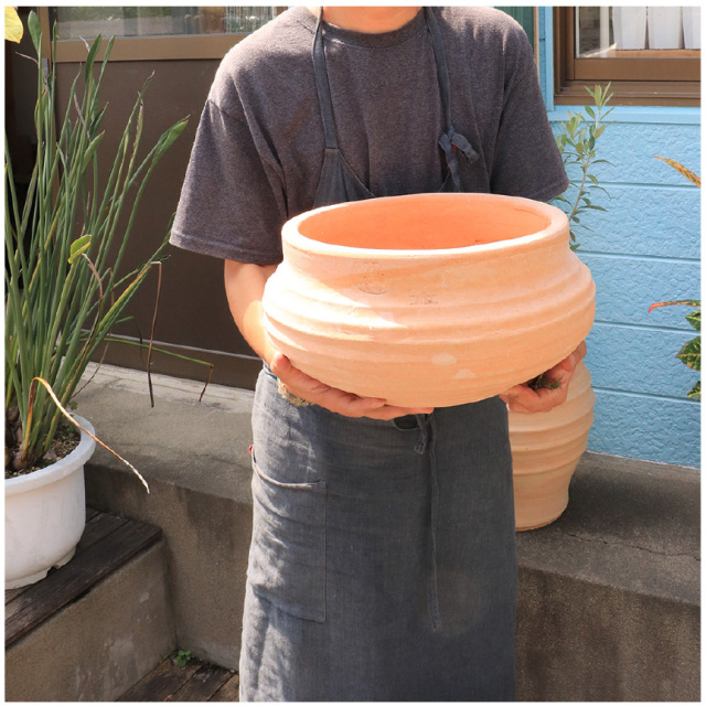 テラコッタ戦士 11mm 1/2 グラム (2枚 セット) 2021年 オラダ・カカオシュー 6個 | 山から ネットショップ