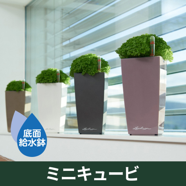 底面給水機能付きプランター【レチューザプレミアム】ミニキュービ　LECHUZA　プラスチック製