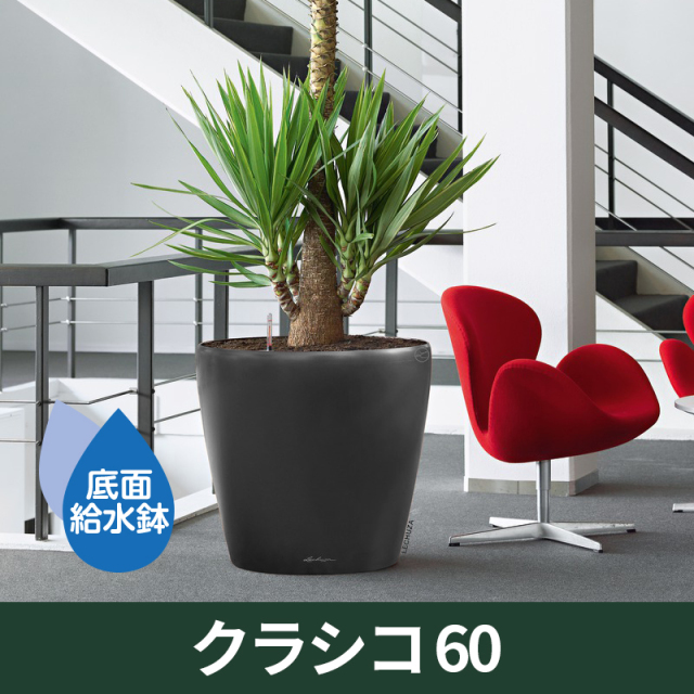 レチューザ・ポン【LECHUZA専用】レチューザ植替え時に必要なスペアクレイ