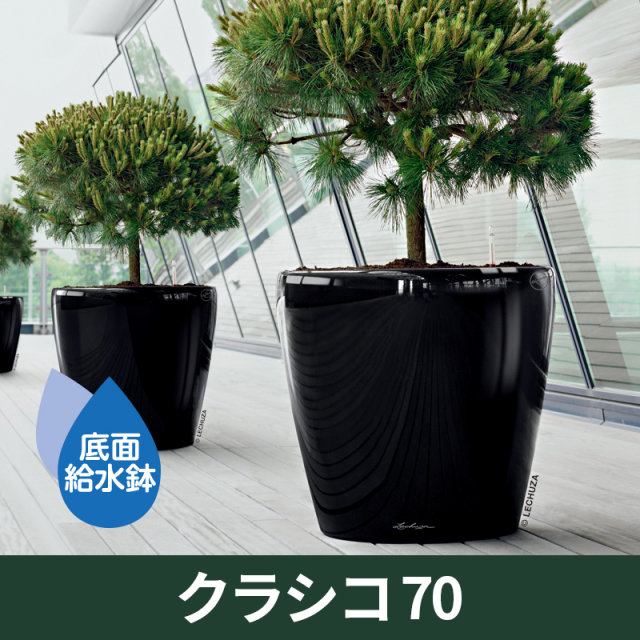 底面給水機能付きプランター【レチューザプレミアム】クラシコ70　LECHUZA　プラスチック製
