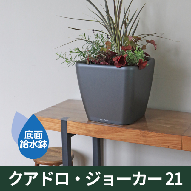 底面給水機能付きプランター【レチューザプレミアム】クアドロ・ジョーカー21　LECHUZA　プラスチック製