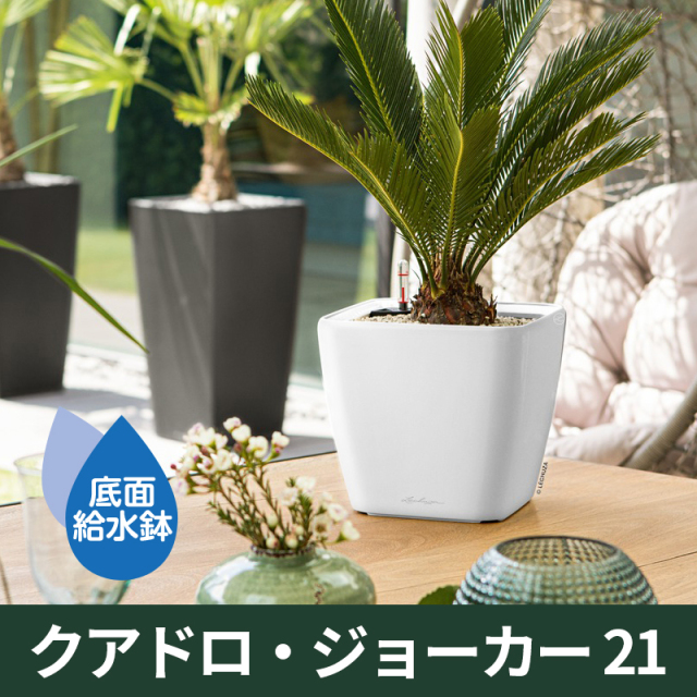 底面給水機能付きプランター【レチューザプレミアム】クアドロ・ジョーカー21　LECHUZA　プラスチック製