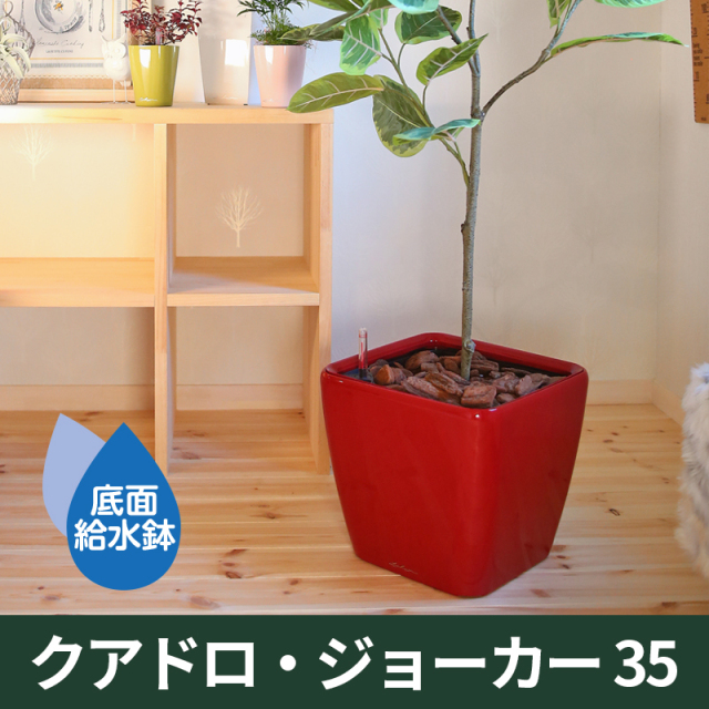 送料無料｜底面給水機能付きプランター【レチューザプレミアム】クアドロ・ジョーカー35　LECHUZA　プラスチック製