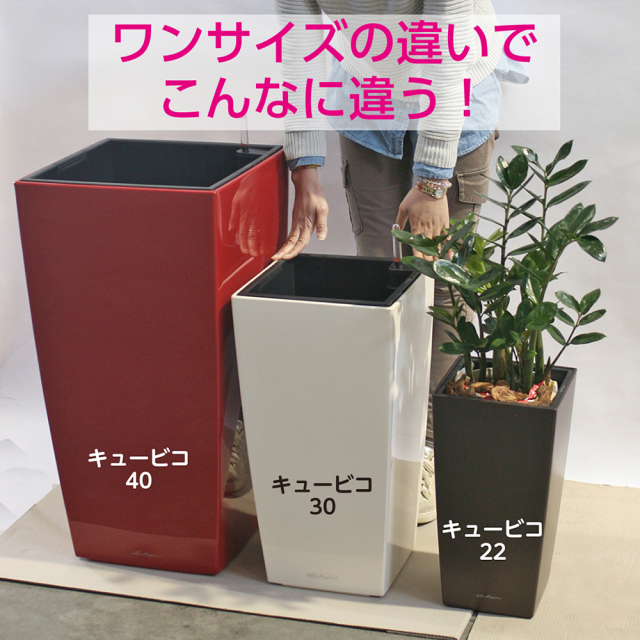 ドイツ製プランター『LECHUZAレチューザ』キュービコ22｜底面給水鉢
