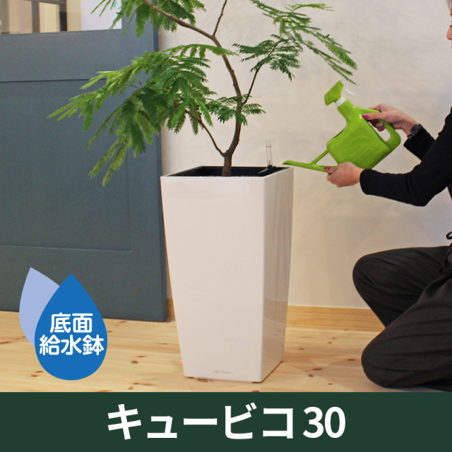 送料無料｜底面給水機能付きプランター【レチューザプレミアム】キュービコ30　LECHUZA