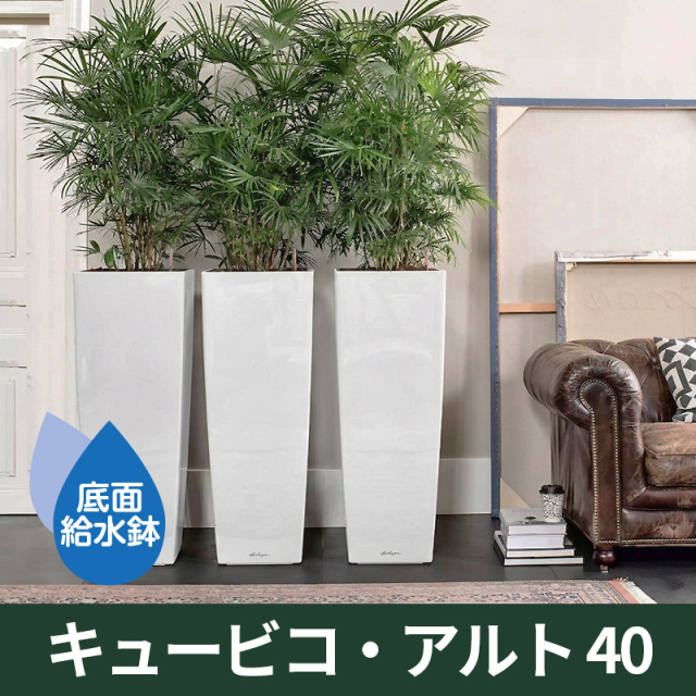 LECHUZAレチューザ』キュービコアルト｜底面給水鉢
