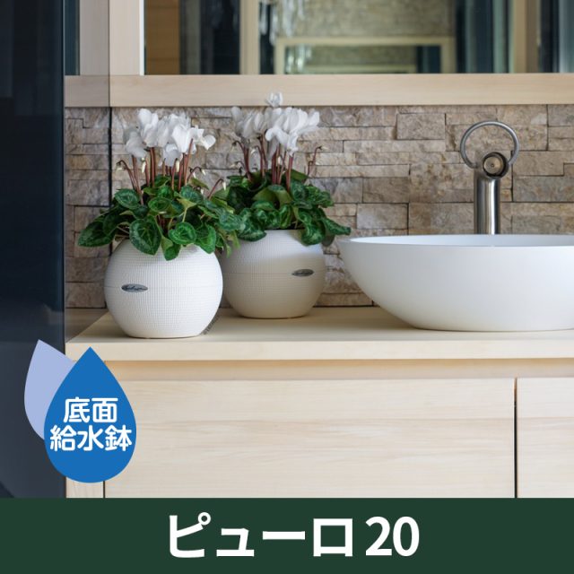 送料無料｜底面給水機能付きプランター【レチューザエコノミー】ピューロ20　LECHUZA　プラスチック製