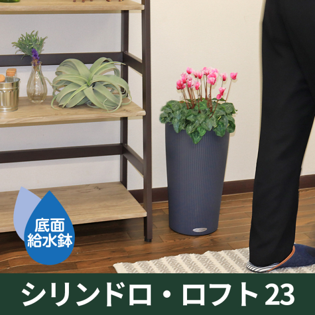 LECHUZAレチューザ』シリンドロ・ロフト23｜底面給水鉢
