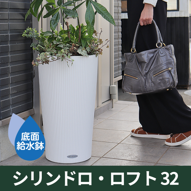 プランタープロショップ限定販売品