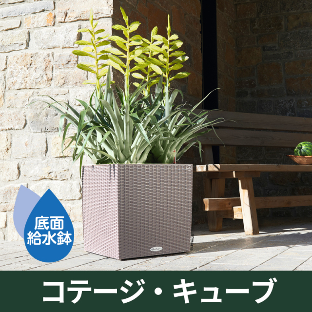 送料無料｜底面給水機能付きプランター【レチューザエコノミー】コテージ・キューブ　LECHUZA　プラスチック製
