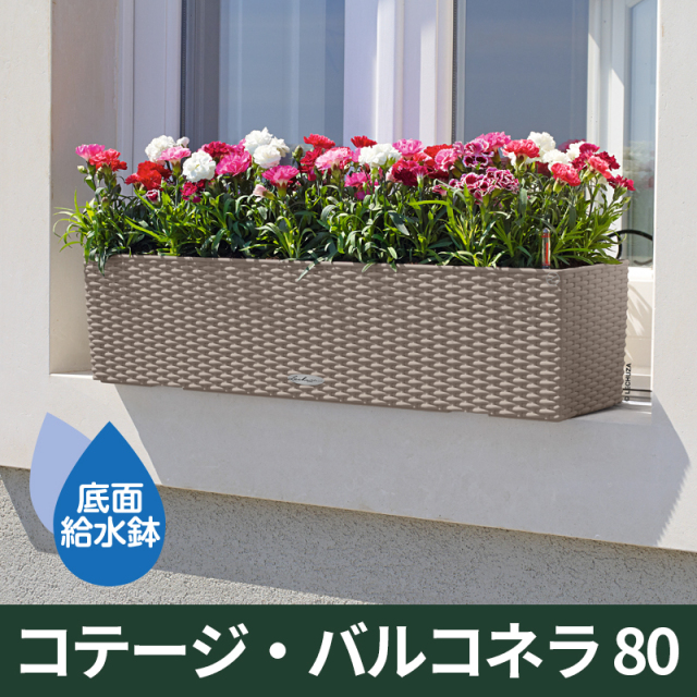 底面給水機能付きプランター【レチューザエコノミー】コテージ・バルコネラ80　LECHUZA　プラスチック製