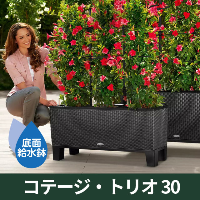 底面給水機能付きプランター【レチューザエコノミー】コテージ・トリオ30　LECHUZA　プラスチック製