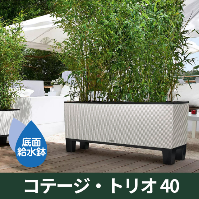 底面給水機能付きプランター【レチューザエコノミー】コテージ・トリオ40　LECHUZA　プラスチック製