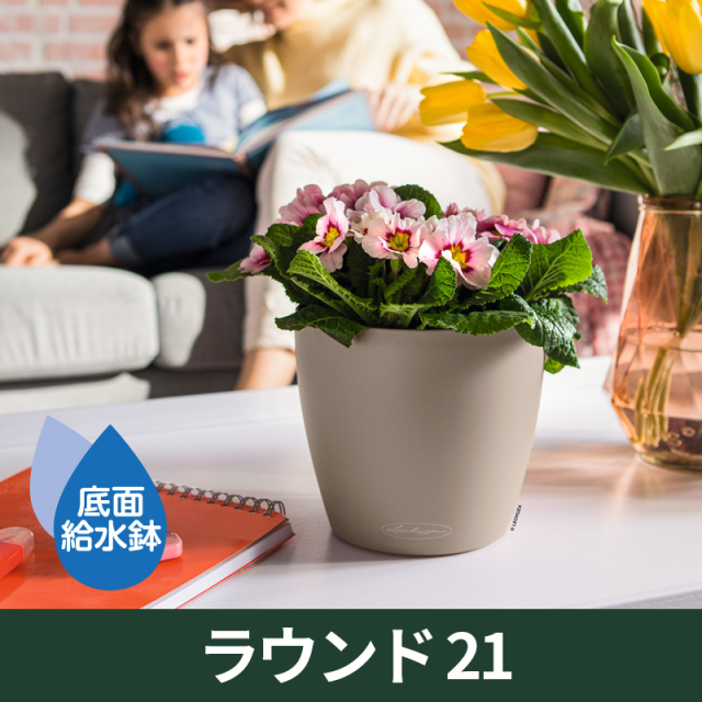 底面給水鉢 レチューザ・ラウンド21