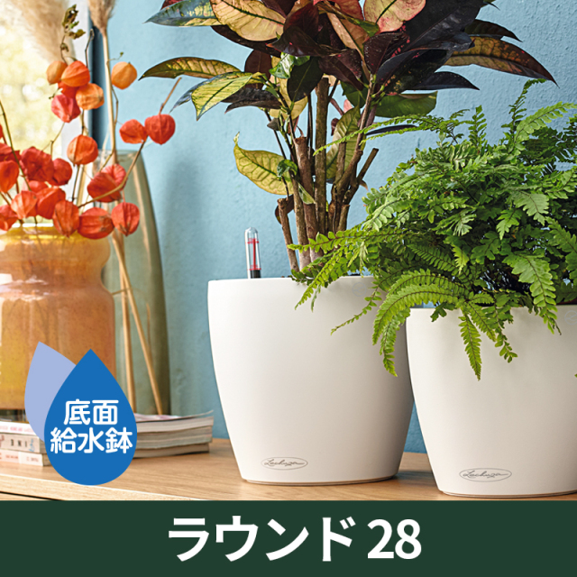 Planter Pro Shop プランタープロショップ｜レチューザ・植木鉢