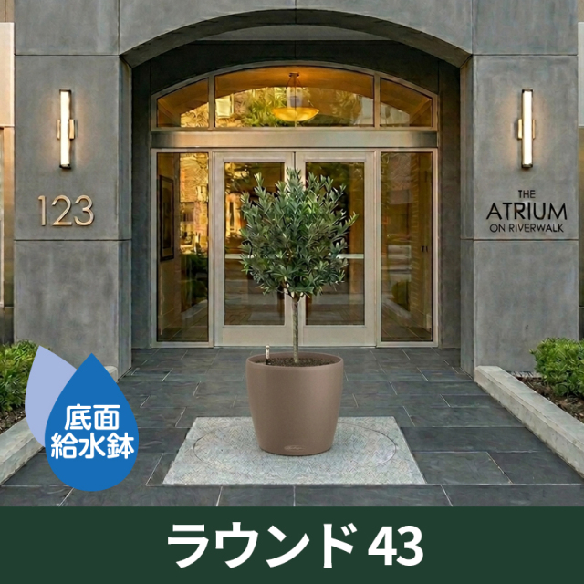 底面給水鉢 レチューザ・ラウンド43