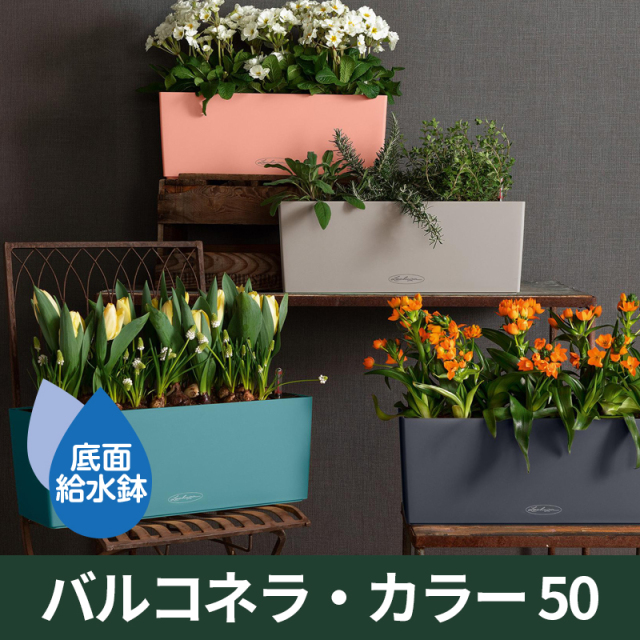 壁かけタイプのプランター【植木鉢】