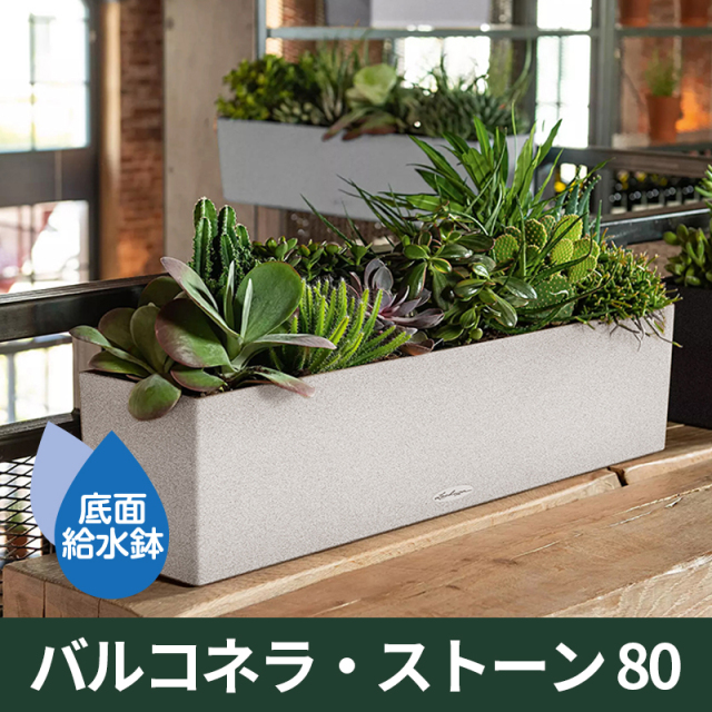 送料無料｜底面給水機能付きプランター【レチューザエコノミー】バルコネラ・ストーン80　LECHUZA　プラスチック製
