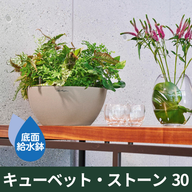 底面給水機能付きプランター【レチューザエコノミー】キューベットストーン30・LECHUZA・プラスチック製