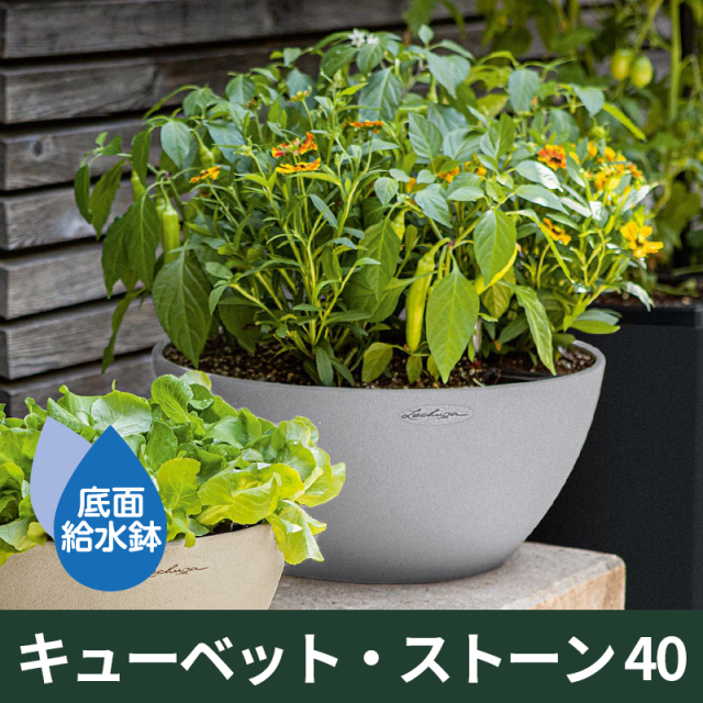 底面給水機能付きプランター【レチューザエコノミー】キューベットストーン40・LECHUZA・プラスチック製