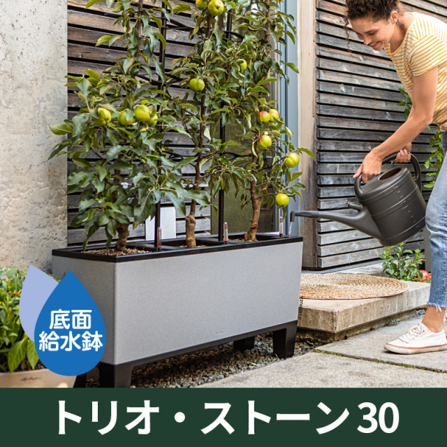 底面給水機能付きプランター【レチューザエコノミー】トリオ・ストーン30　LECHUZA　プラスチック製
