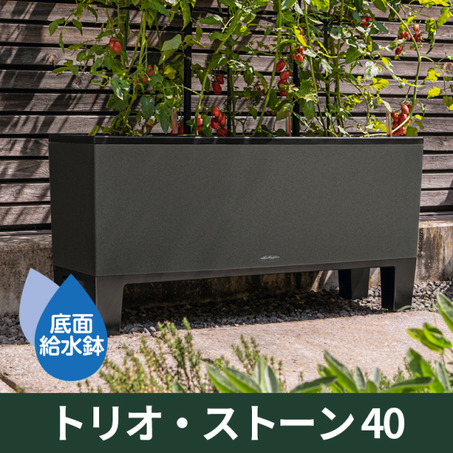底面給水機能付きプランター【レチューザエコノミー】トリオ・ストーン40　LECHUZA　プラスチック製