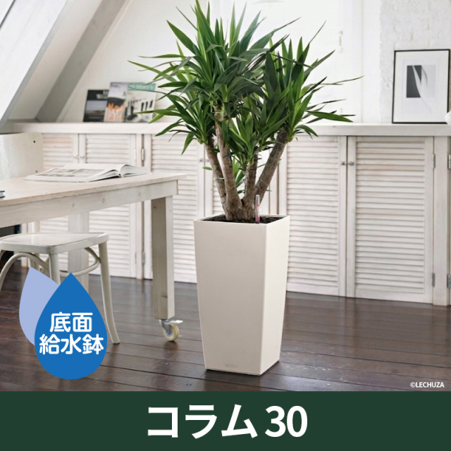 ドイツ生まれの機能美プランター『レチューザ』コラム40｜底面給水機能付き