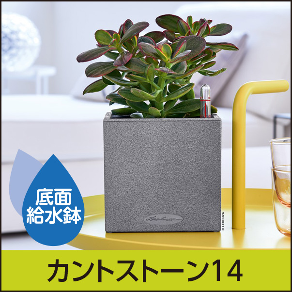 【少量入荷品】アウトレットセール品・カントストーン14・LECHUZA・プラスチック製