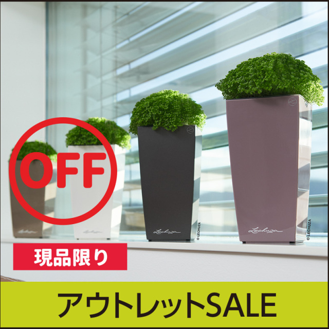 【訳あり】レチューザミニキュービ・旧型タイプ・LECHUZA・アウトレットセール